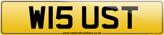 W15 UST