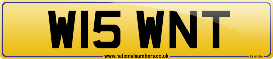 W15 WNT