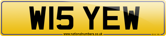 W15 YEW