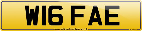 W16 FAE