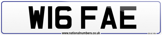W16 FAE