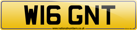W16 GNT