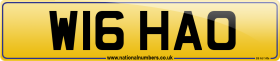 W16 HAO