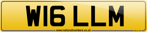 W16 LLM