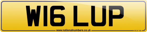 W16 LUP