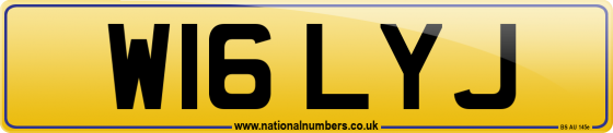 W16 LYJ
