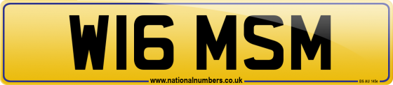 W16 MSM