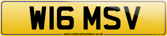 W16 MSV