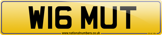 W16 MUT