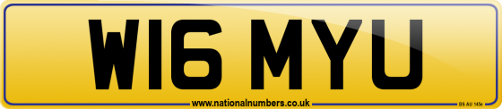 W16 MYU