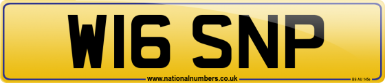W16 SNP