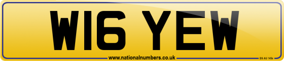 W16 YEW