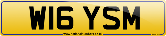 W16 YSM
