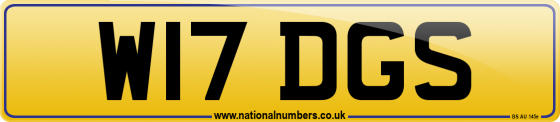W17 DGS