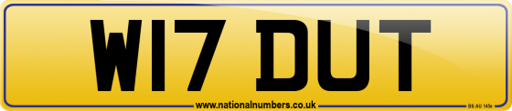 W17 DUT