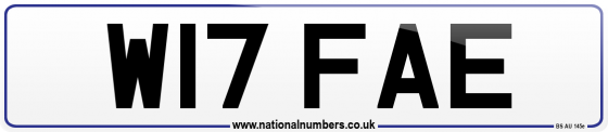 W17 FAE
