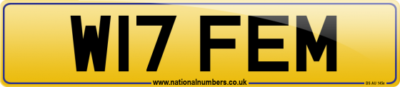 W17 FEM