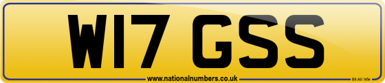 W17 GSS