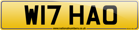 W17 HAO