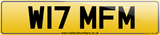 W17 MFM