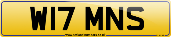 W17 MNS