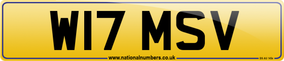 W17 MSV
