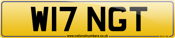 W17 NGT