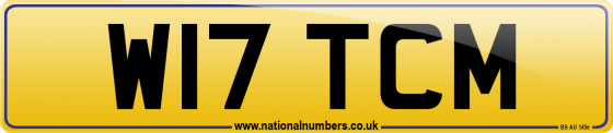 W17 TCM