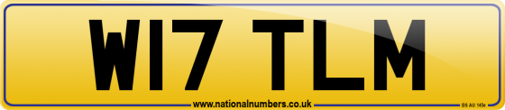W17 TLM
