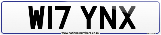 W17 YNX
