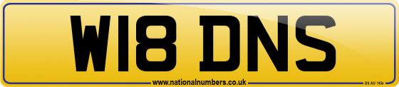 W18 DNS