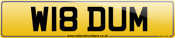 W18 DUM