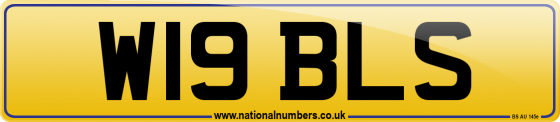W19 BLS
