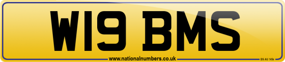 W19 BMS