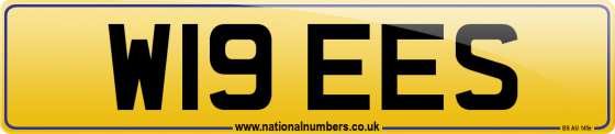 W19 EES