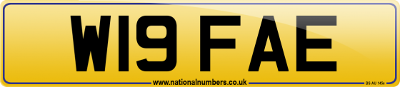 W19 FAE
