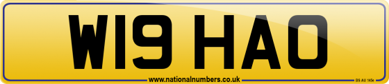 W19 HAO