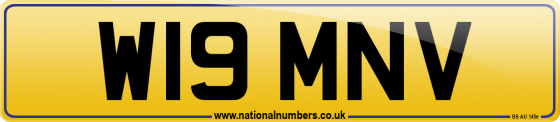 W19 MNV