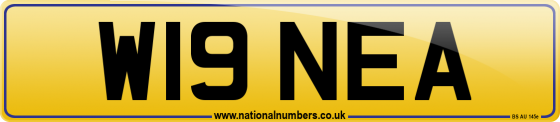 W19 NEA
