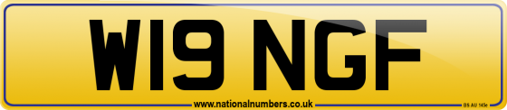 W19 NGF
