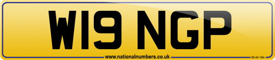 W19 NGP