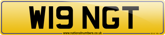 W19 NGT