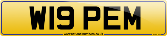 W19 PEM