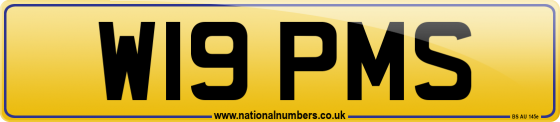 W19 PMS