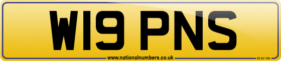 W19 PNS
