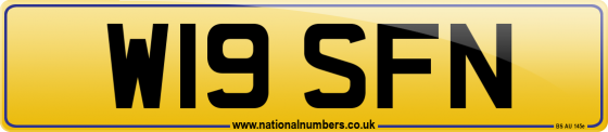 W19 SFN