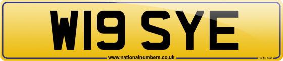 W19 SYE