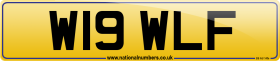 W19 WLF