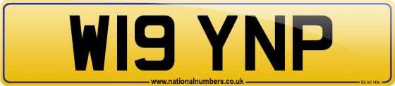 W19 YNP