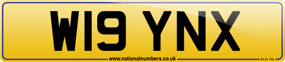 W19 YNX